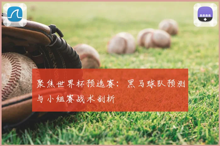 聚焦世界杯预选赛：黑马球队预测与小组赛战术剖析